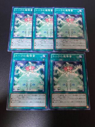 トーラの魔導書 ノーマル JP060