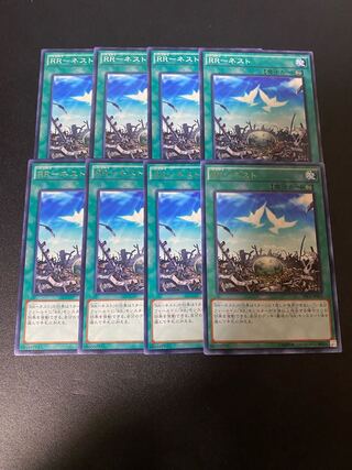 RR-ネスト レア JP054