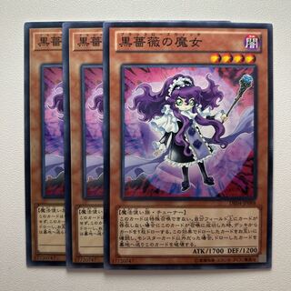 Witch of the Black Rose *1205