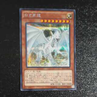 Dragon Spirit of White Secret Rare JP018 [Korindo