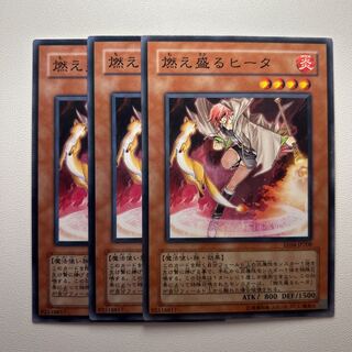 11758 燃え盛るヒータ ノーマル JP208