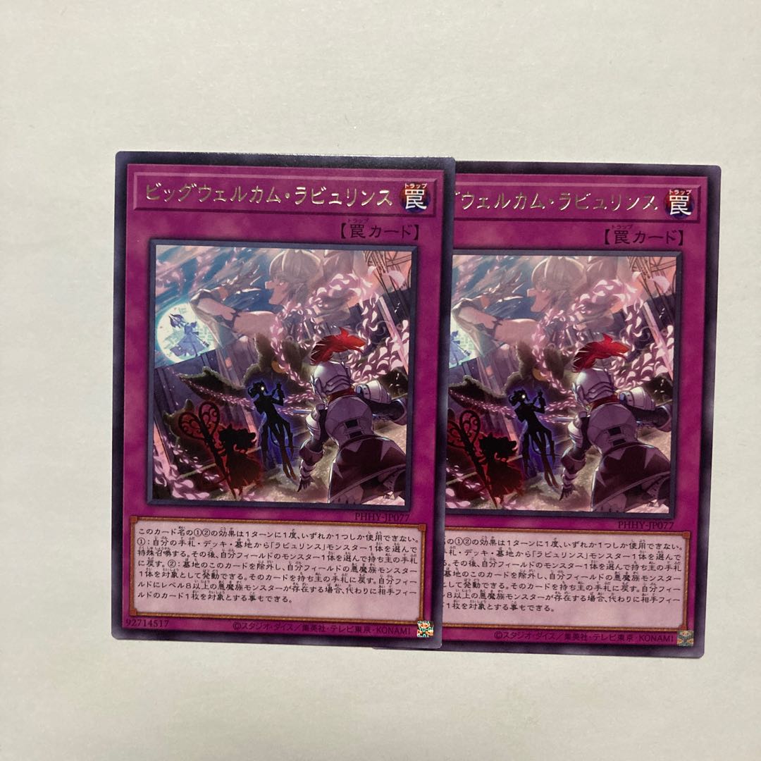 Big Welcome Labourince Rare JP077