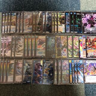 アナカラーシャコガイル