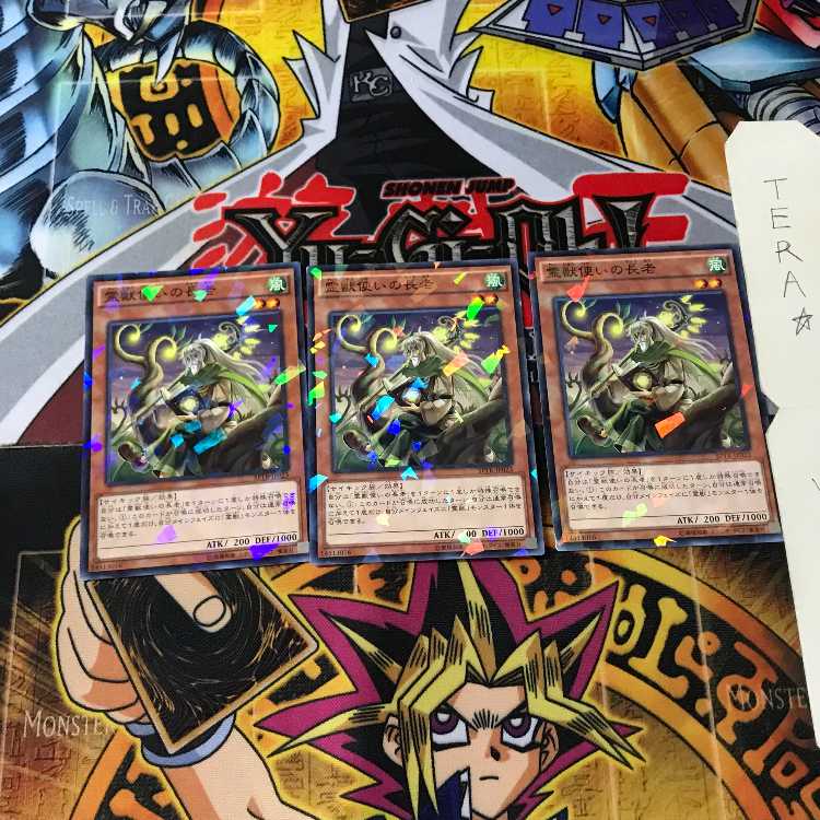 Ritual Beast Tamer Elder SPTR 8 Normal Parallel Set of 3 Tera.