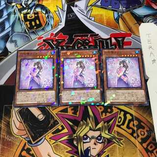 六花精エリカ DBSS 5 ノーマルパラレル 3枚セット てら