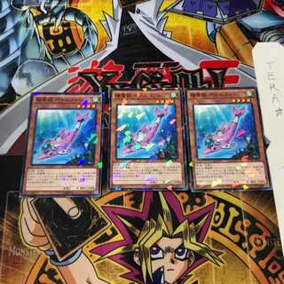 精霊獣 ぺトルフィン SPTR 6 ノーマルパラレル 3枚セット てら