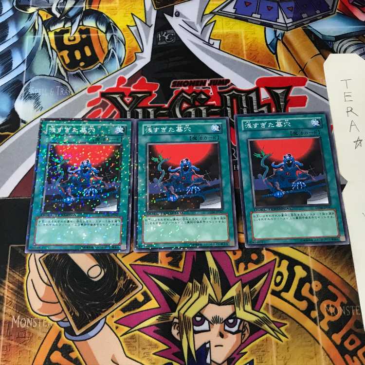 The Shallow Grave DT06 7 Duel Terminal, set of 3, Tera.