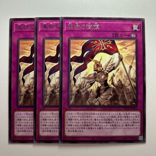 11788 Pennant of Revolution *1281