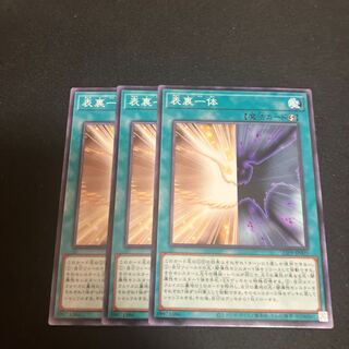 表裏一体　ノーマル　3枚