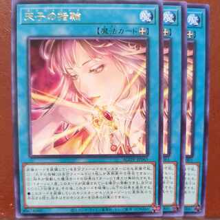 Siperus san Exclusive Set Discount Tenshi's Ring Rare JP065