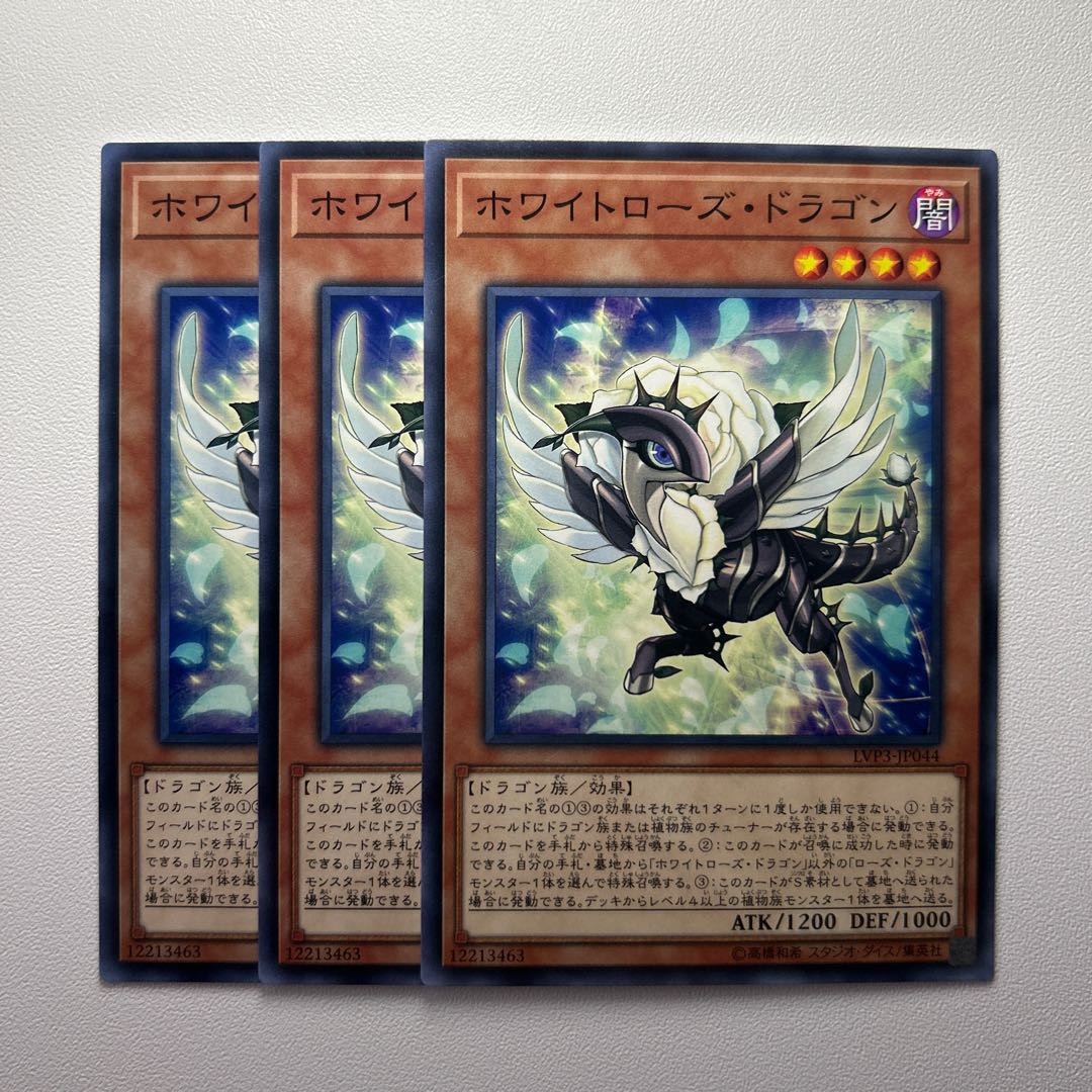 White Rose Dragon *1360