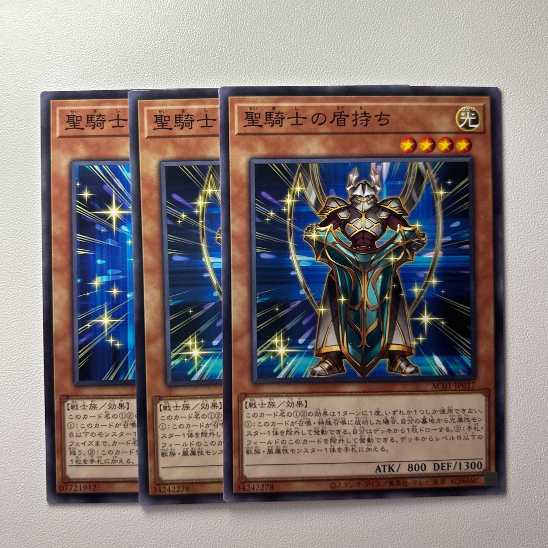 聖騎士の盾持ち *1384