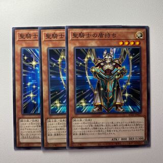 聖騎士の盾持ち ＊1384