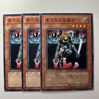 異次元の女戦士　＊1386