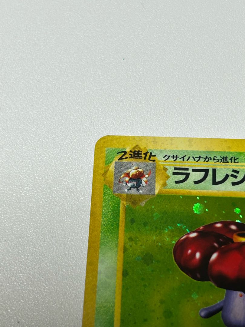 ラフレシア 旧裏