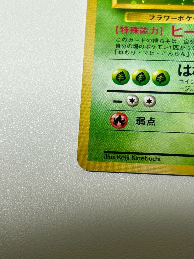 ラフレシア 旧裏