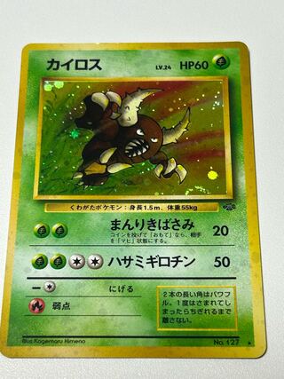 Pinsir Old Back 1枚