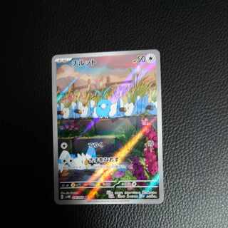 チルット　AR　ハガネール、エイパムも付いてます！