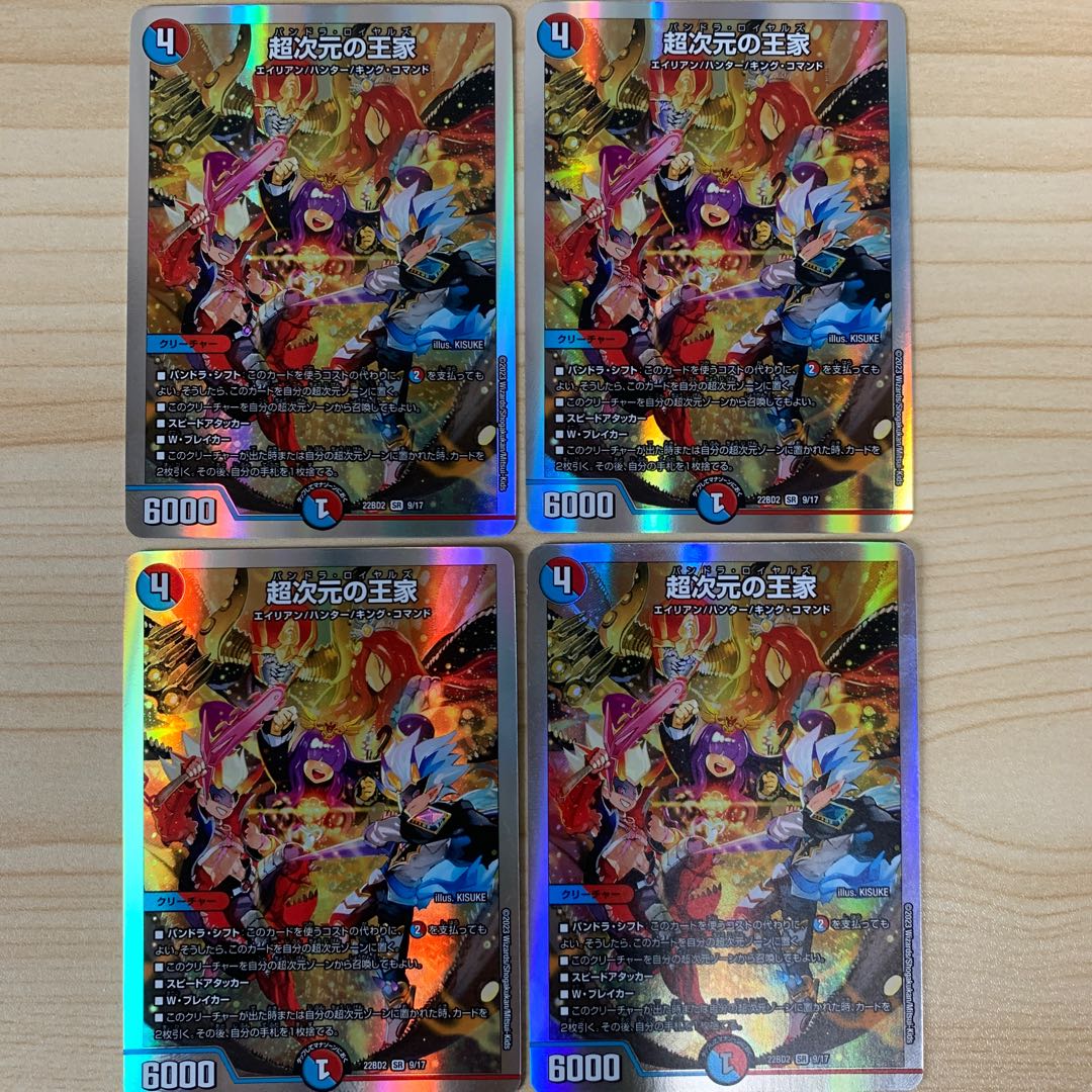 超次元の王家 SR S13/S15