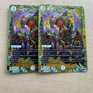 サッヴァークDG SE M1(秘)2/M1