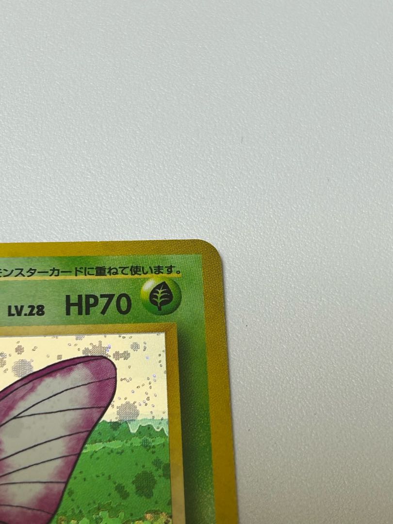 モルフォン 旧裏 1枚