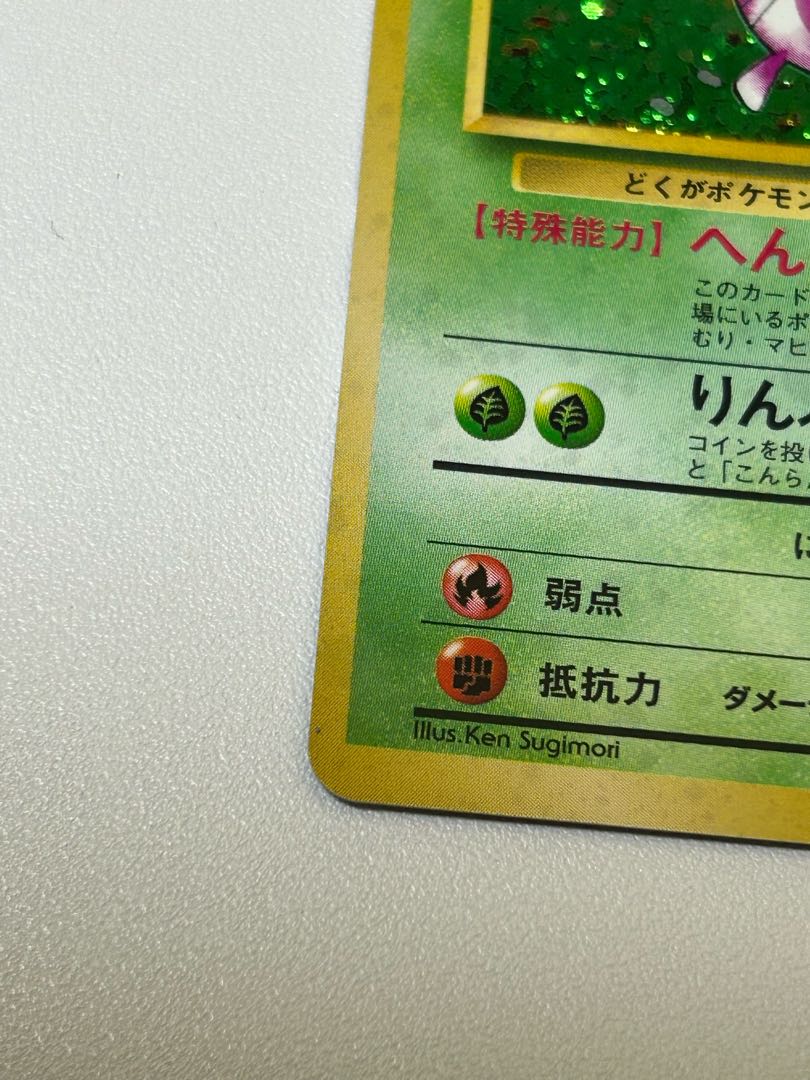 モルフォン 旧裏 1枚