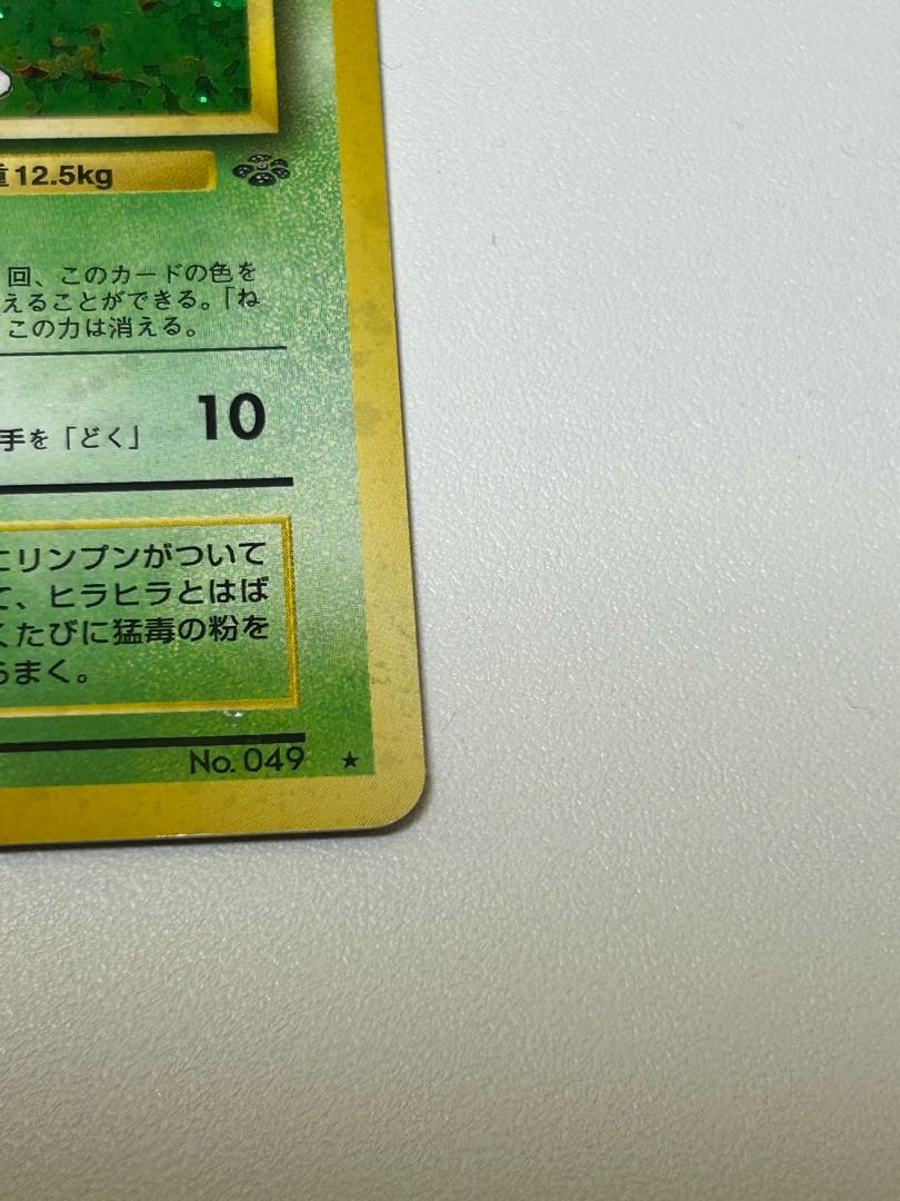 モルフォン 旧裏 1枚