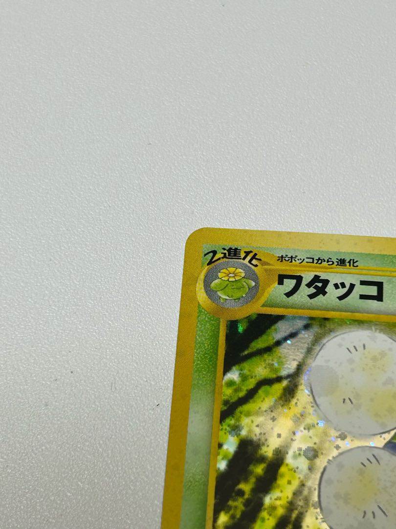 ワタッコ 旧裏
