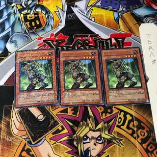 E・HERO フォレストマン DT08 7 デュエルターミナル 3枚セット てら