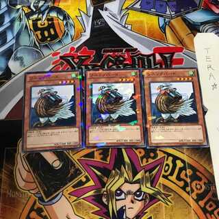 Sonic Bird DT10 3 Duel Terminal, Set of 3, Tera.