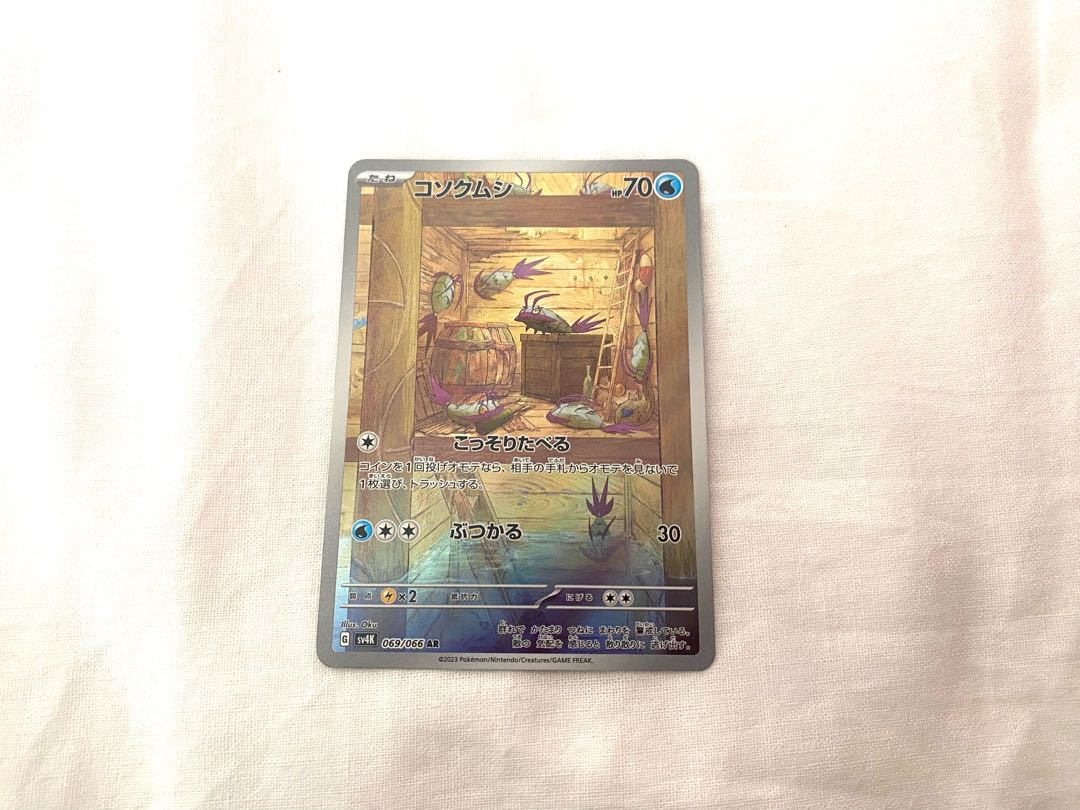 コソクムシ AR 069/066