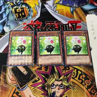 ナチュル・コスモスビート DTC2 3 デュエルターミナル 3枚セット てら