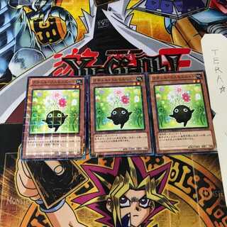 Naturia Cosmobeet DTC2 4 Duel Terminals, Set of 3 Tera