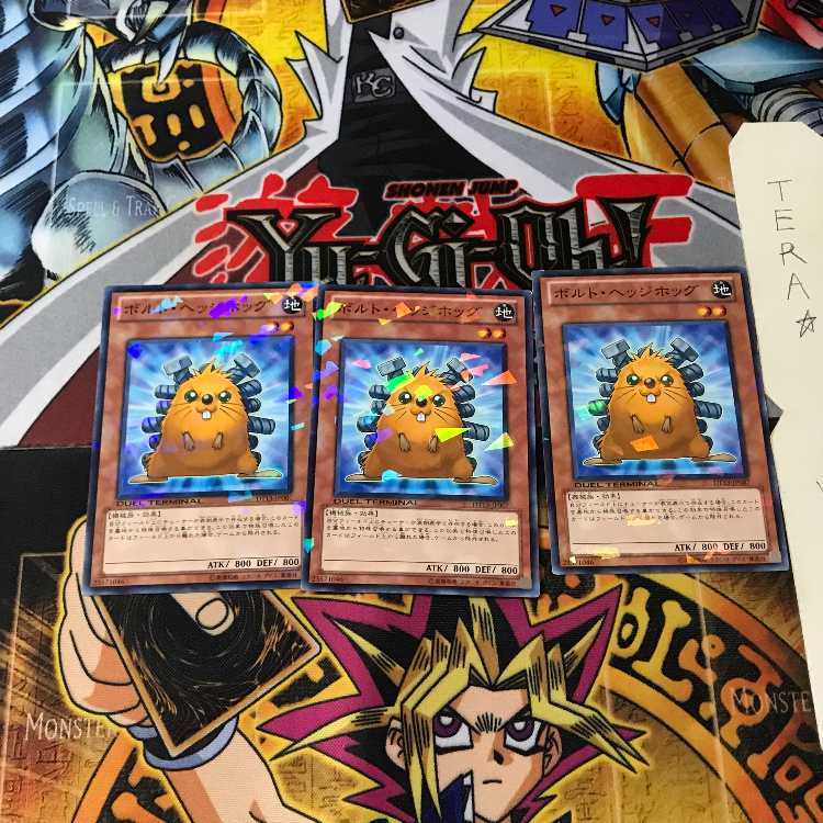 ボルト・ヘッジホッグ DT13 8 デュエルターミナル 3枚セット てら