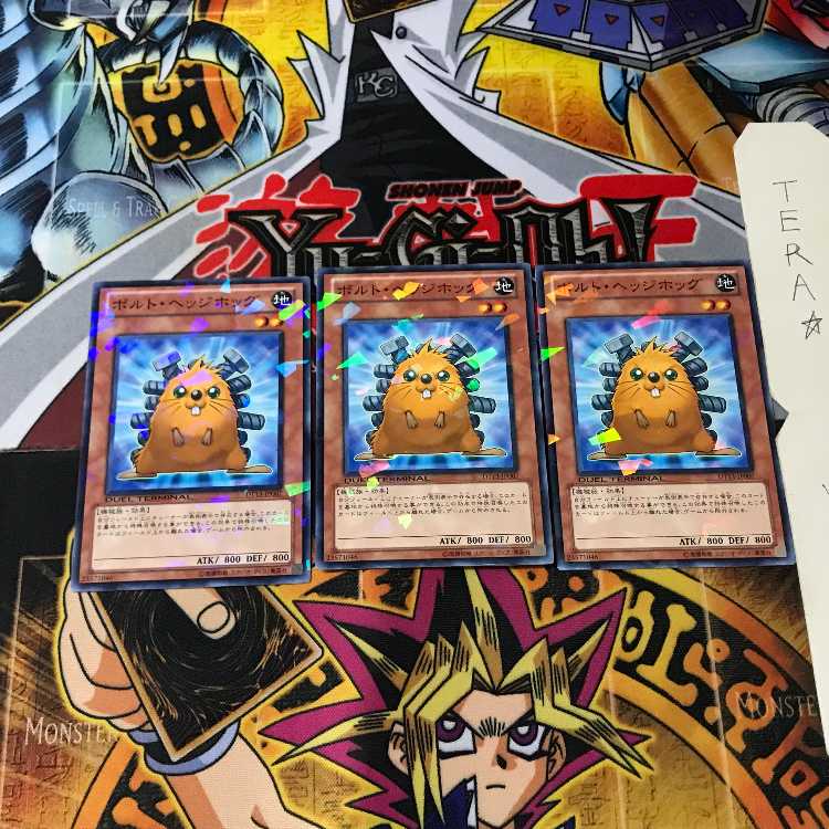 ボルト・ヘッジホッグ DT13 10 デュエルターミナル 3枚セット てら