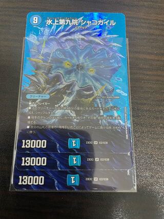 水上第九院 シャコガイル SR 超2/超38