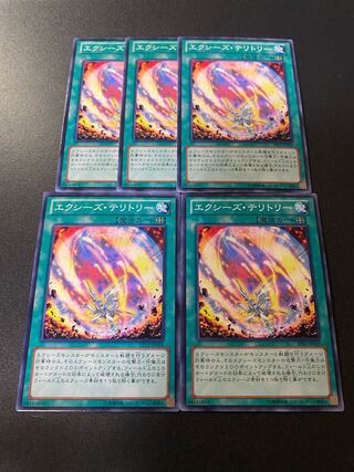 エクシーズ・テリトリー ノーマル JP029