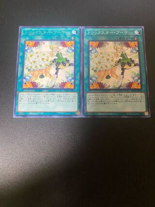 トリックスター・ブーケ レア JP055