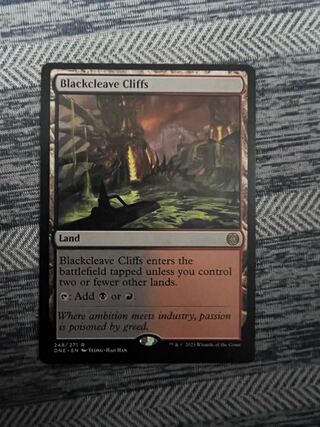 Blackcleave Cliffs / 黒割れの岸　248 1枚
