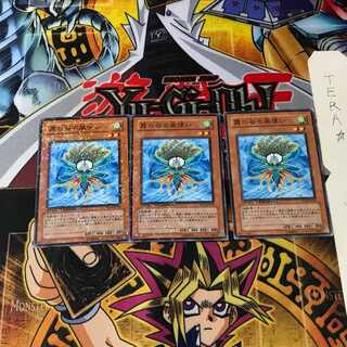 霞の谷の風使い DT02 2 デュエルターミナル 3枚セット てら