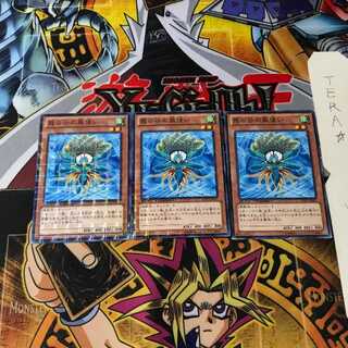 霞の谷の風使い DTC1 6 デュエルターミナル 3枚セット てら