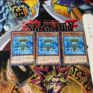 霞の谷の風使い DTC1 8 デュエルターミナル 3枚セット てら