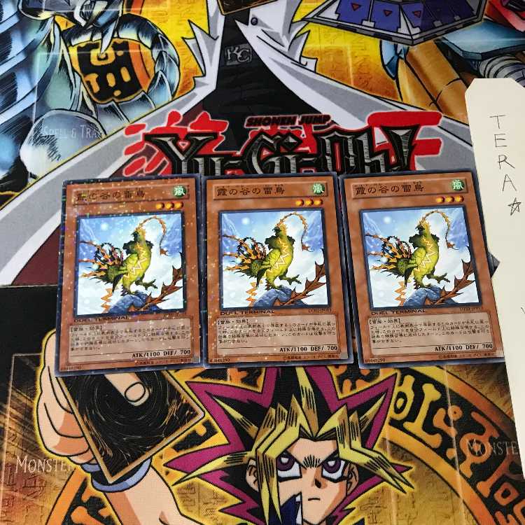 Mist Valley Thunderbird DT01 6 Duel Terminal, set of 3, Tera.