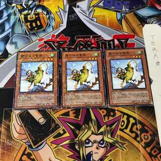 Mist Valley Thunderbird DT01 9 Duel Terminal, set of 3 Tera.