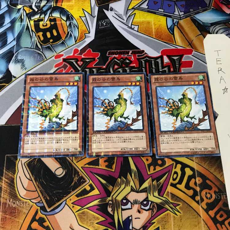 Mist Valley Thunderbird DTC1 7 Duel Terminal, set of 3 Tera.