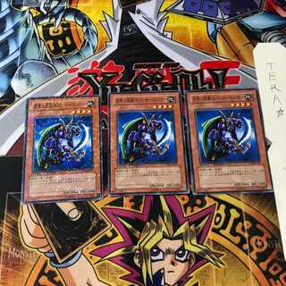 Panther Warrior DT04 6 Duel Terminal, set of 3, Tera.