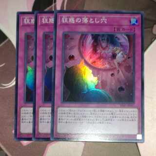 狂惑の落とし穴 3枚