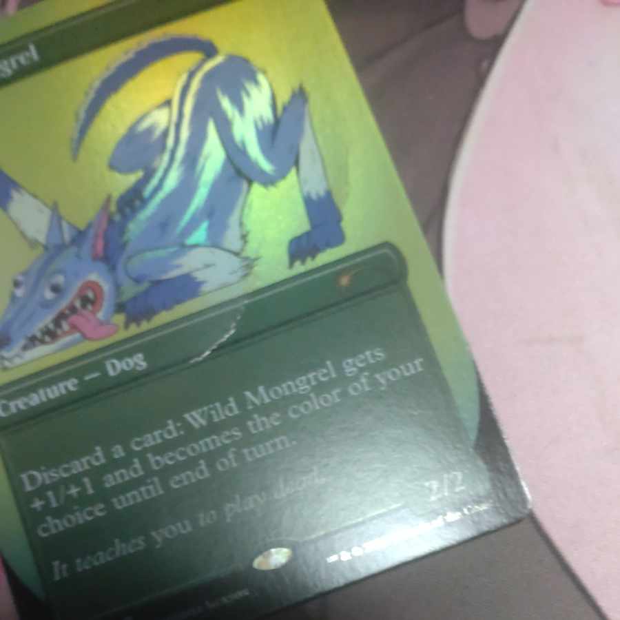 野生の雑種犬 secret lair Foil 1枚