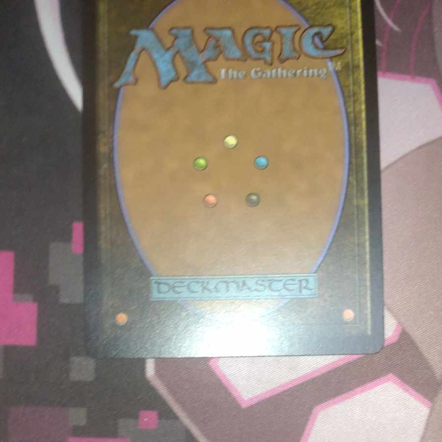 野生の雑種犬 secret lair Foil 1枚