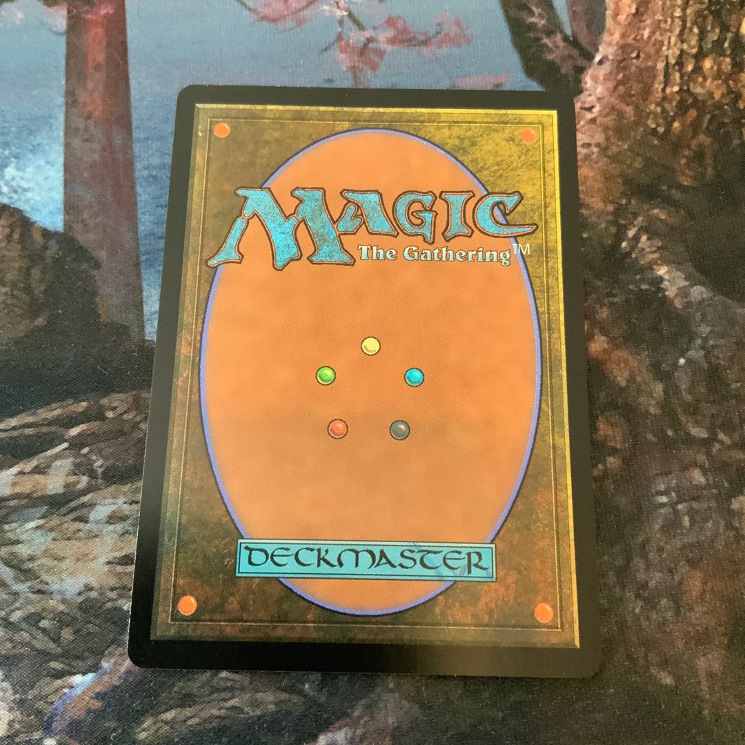 電解 サイン mtg 1枚